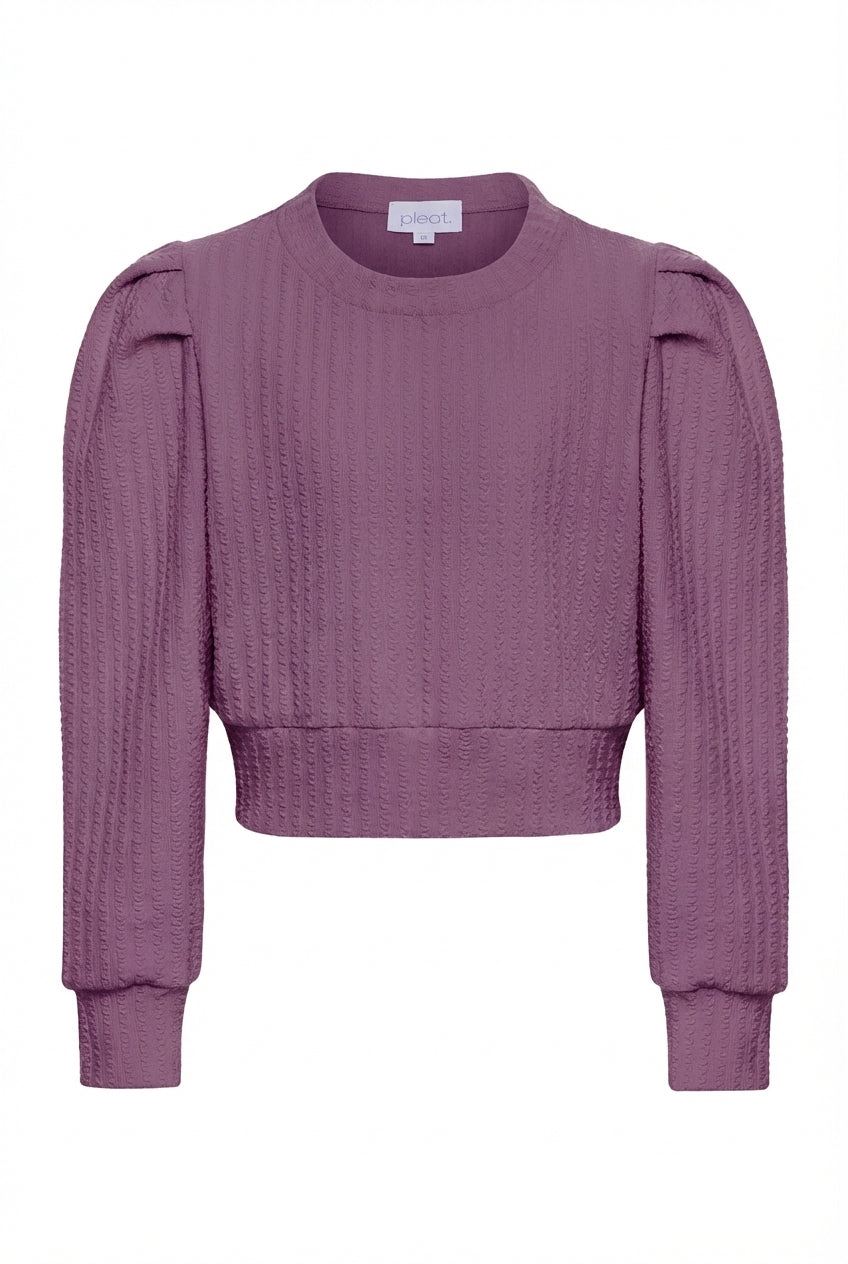 Jane Sweatshirt Textured Plum
