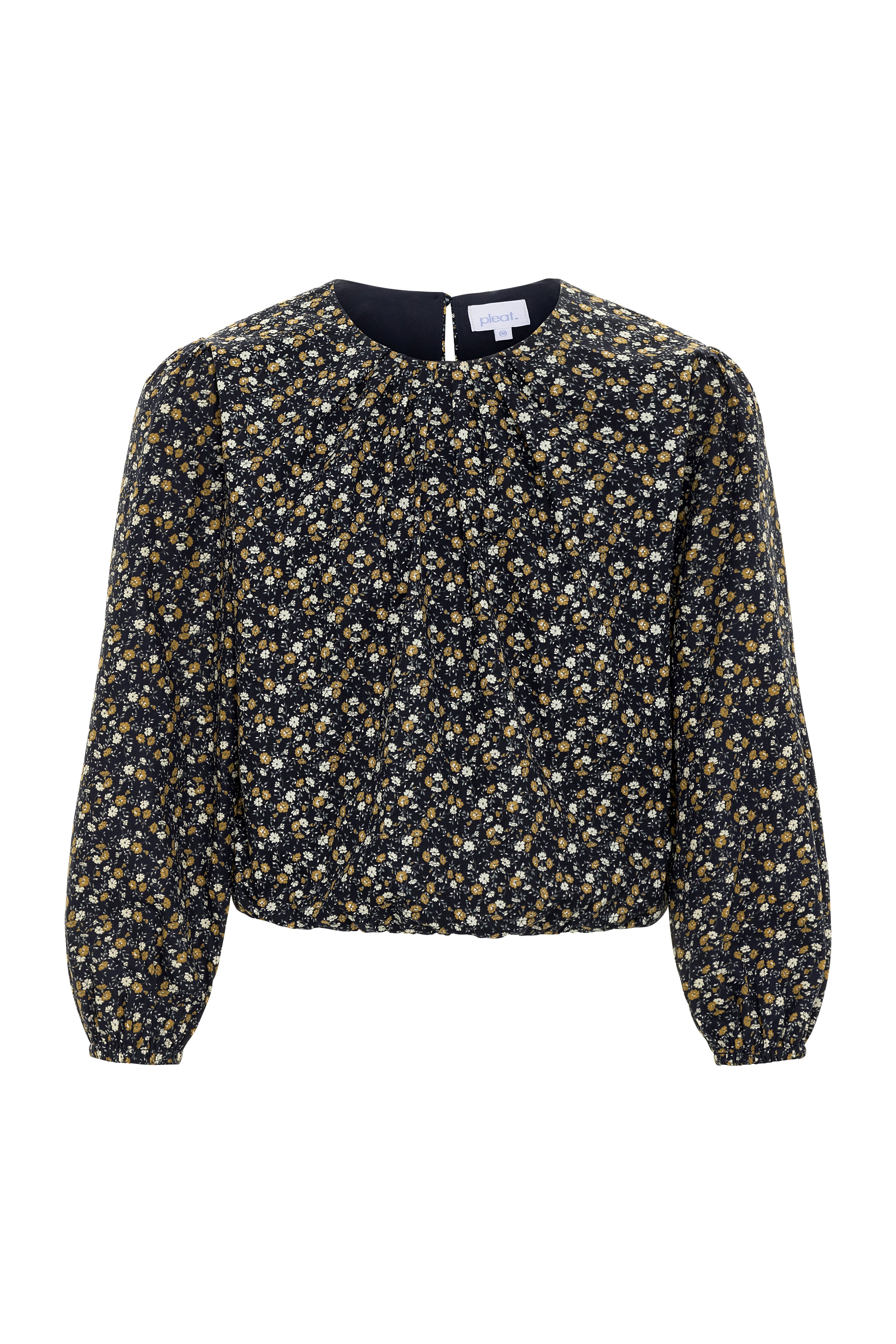 Wren Top