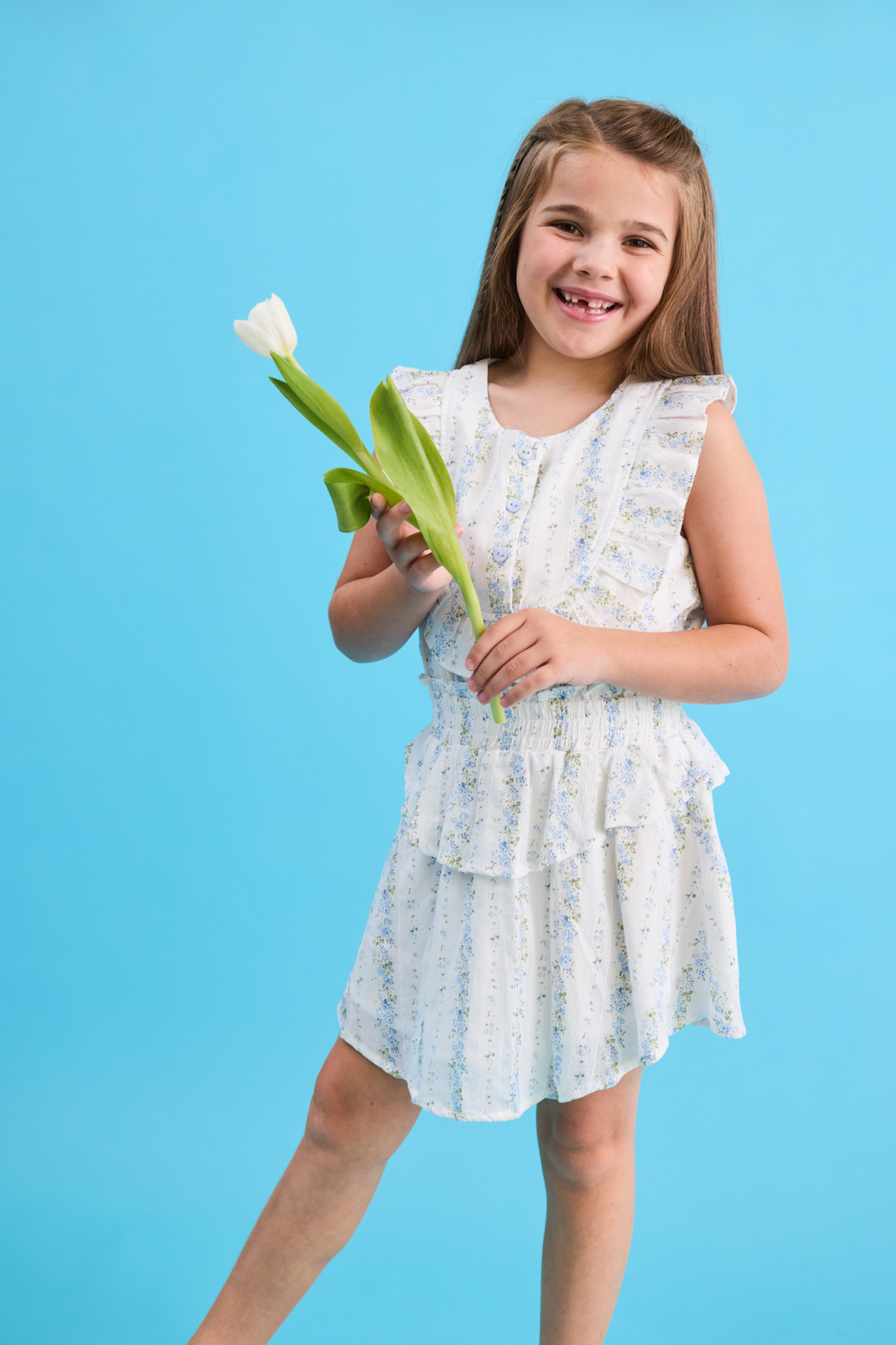 Jane Dress Secret Garden